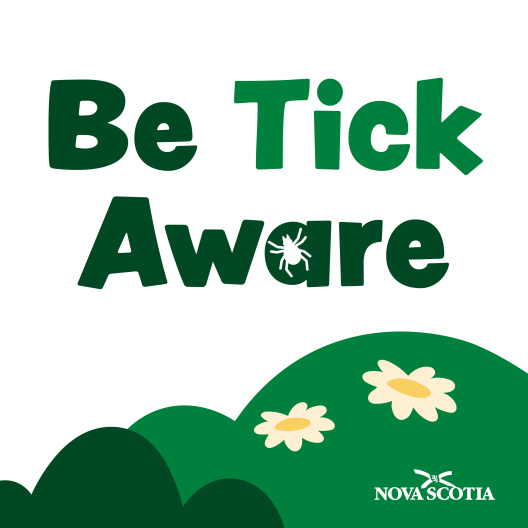 Be Tick Aware In NS